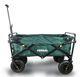 FROSAL Bollerwagen Nick faltbar mit Luftreifen Bremse & Dach grün