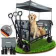 FROSAL Bollerwagen Tom