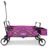 FUXTEC Bollerwagen FX-CT350 Purpur