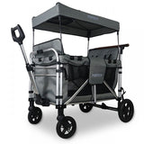 FUXTEC 4-Sitzer XL Luxus Bollerwagen FX-CTXL900 Grau